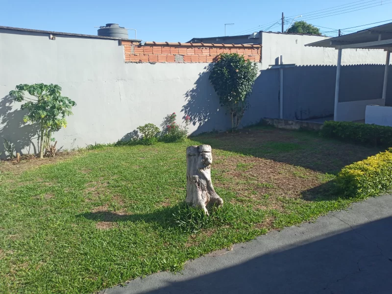 imagem 3282