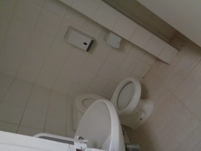 imagem 3304