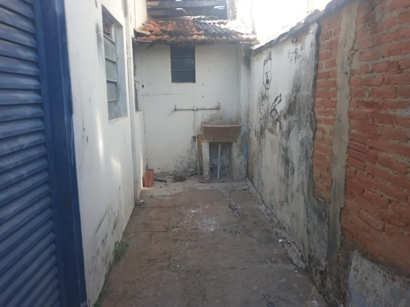 imagem 4102